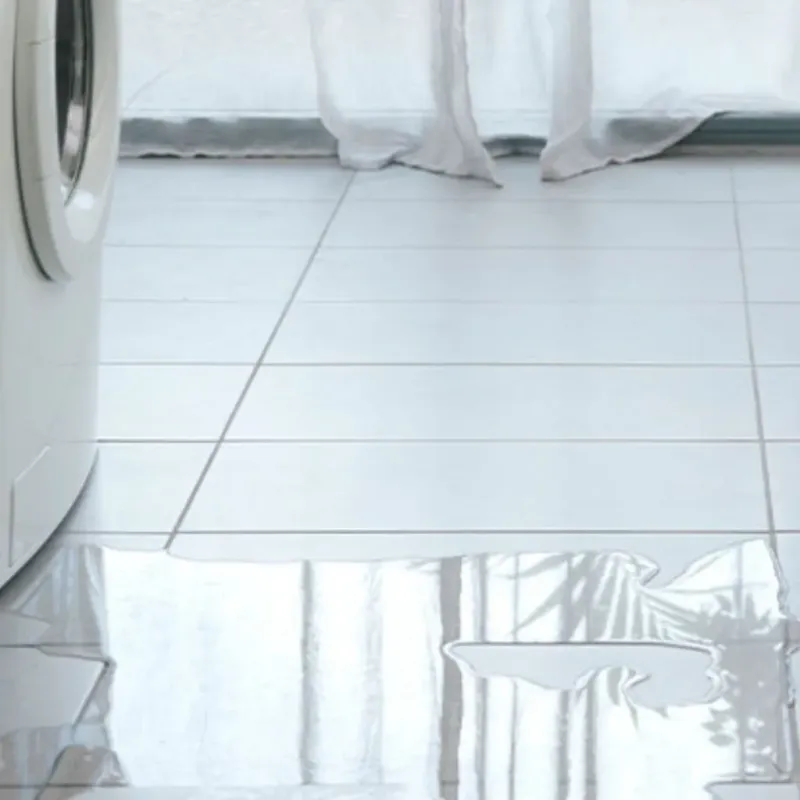 Appliance Leak Cleanup in Slippery Rock, PA