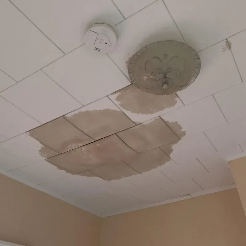 Ceiling Water Damage Repair in Slippery Rock, PA