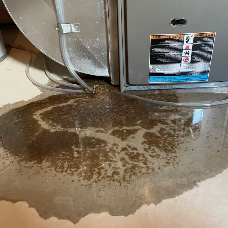 Pipe Burst and Leak Restoration in Slippery Rock, PA
