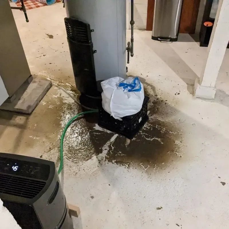 Sewage Backup Cleanup Service in Slippery Rock, PA